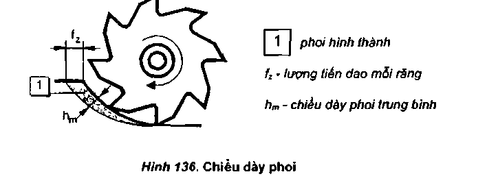 chieu-day-phoi